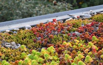 the cost of Langley Mill green roof installation