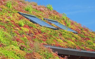 Langley Mill living roof systems